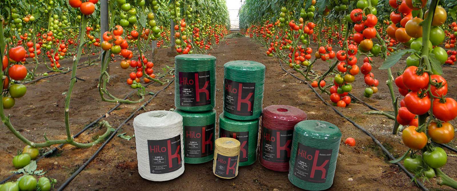 Clarico-Slider Style 3